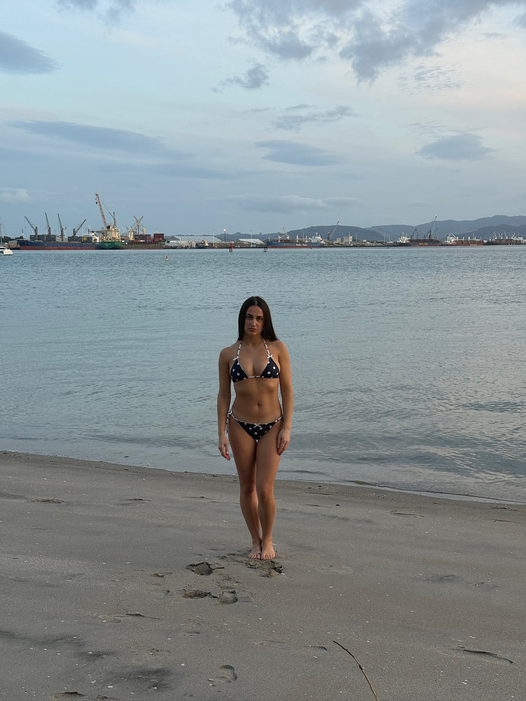 Serena Bikini Top